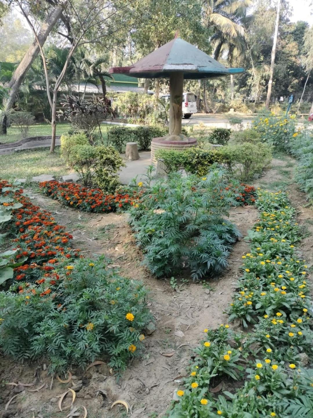Lucky Beach Resorts , Balasore تشانديبور المظهر الخارجي الصورة