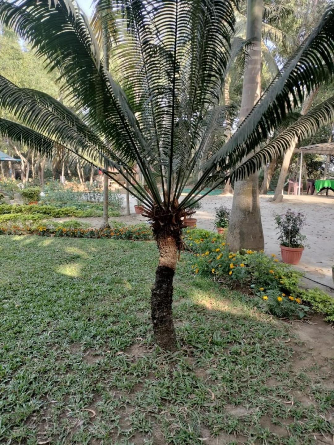 Lucky Beach Resorts , Balasore تشانديبور المظهر الخارجي الصورة